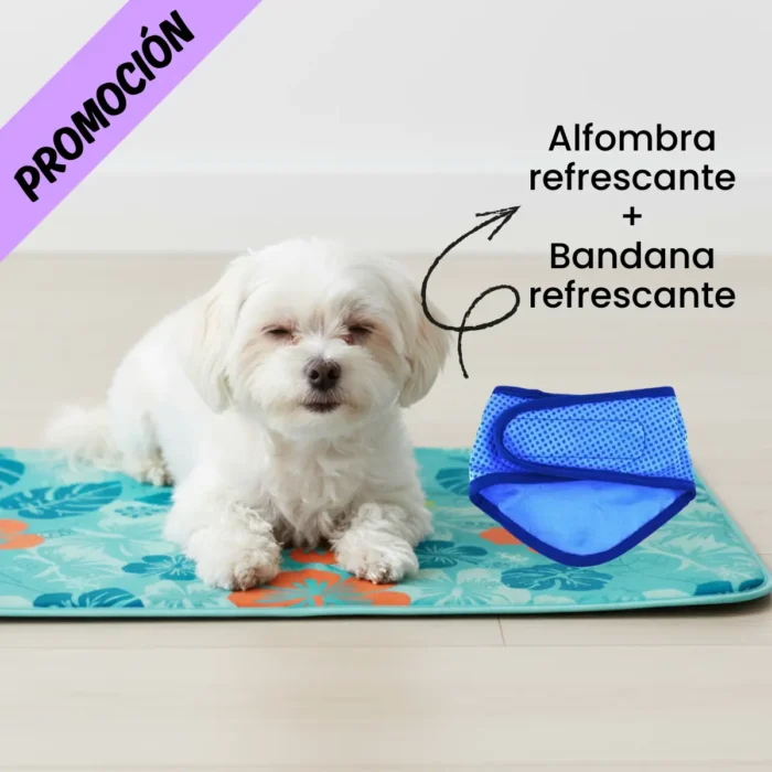 Kit Refrescante para Perros Pequeños y Medianos