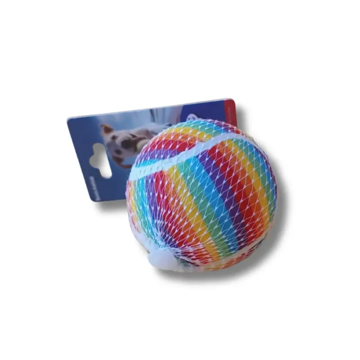 Pelota Arcoíris