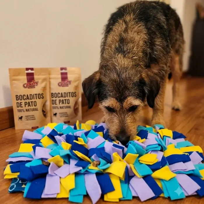 Kit Olfativo para Perros Medianos